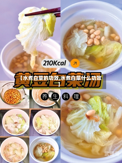 【水煮白菜的功效,水煮白菜什么功效】