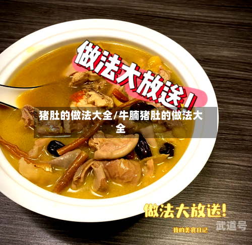 猪肚的做法大全/牛腩猪肚的做法大全