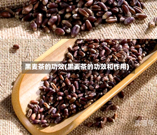 黑麦茶的功效(黑麦茶的功效和作用)