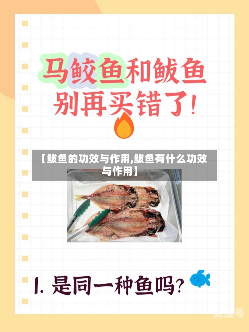 【鲅鱼的功效与作用,鲅鱼有什么功效与作用】