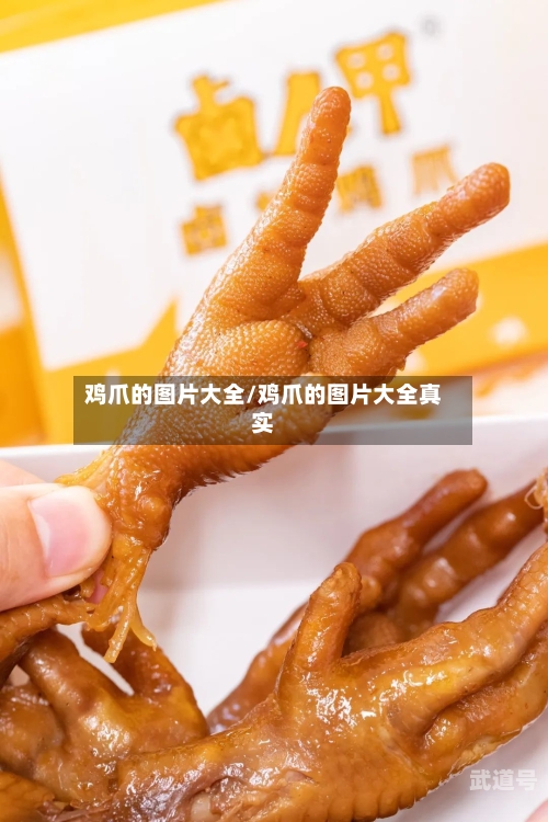 鸡爪的图片大全/鸡爪的图片大全真实