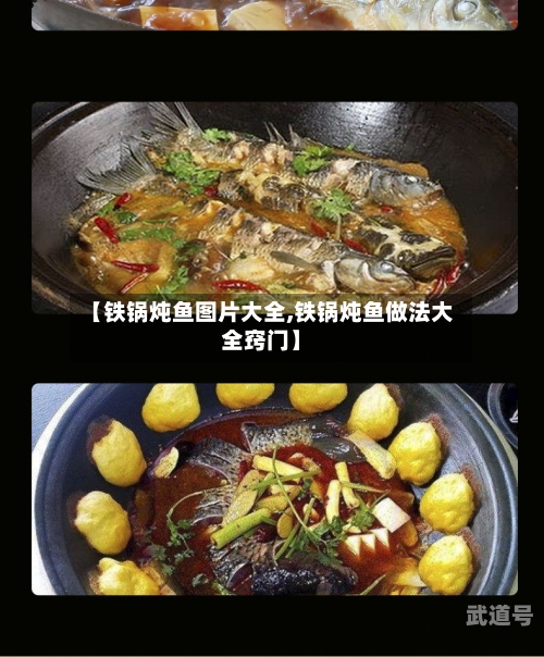 【铁锅炖鱼图片大全,铁锅炖鱼做法大全窍门】