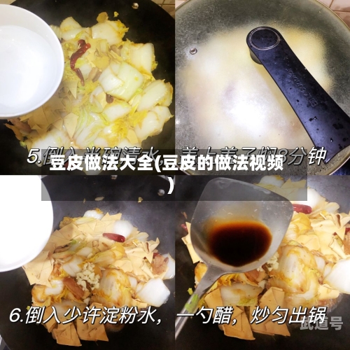 豆皮做法大全(豆皮的做法视频)