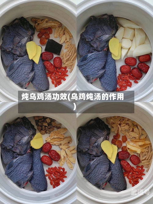 炖乌鸡汤功效(乌鸡炖汤的作用)