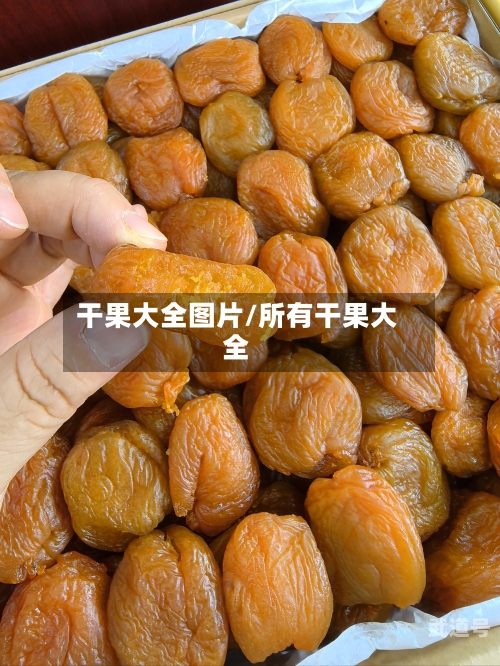 干果大全图片/所有干果大全