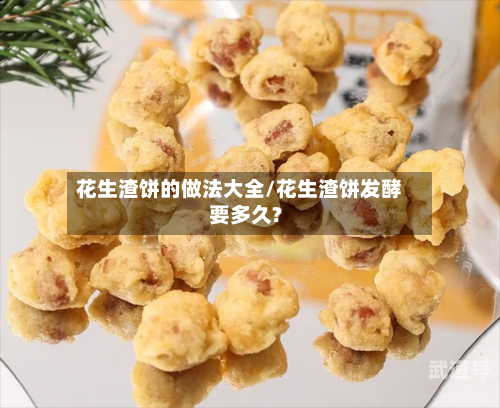 花生渣饼的做法大全/花生渣饼发酵要多久?