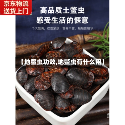 【地鳖虫功效,地鳖虫有什么用】