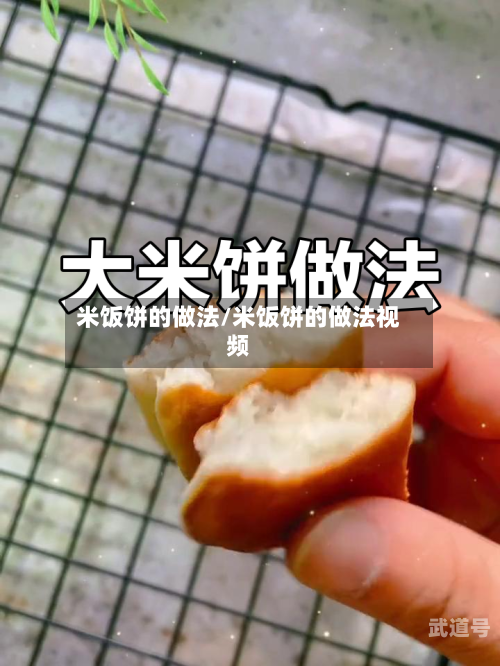 米饭饼的做法/米饭饼的做法视频