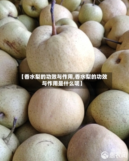 【香水梨的功效与作用,香水梨的功效与作用是什么呢】