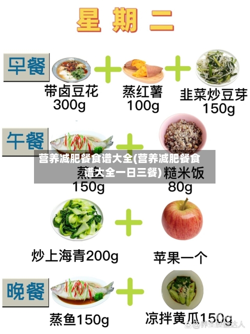 营养减肥餐食谱大全(营养减肥餐食谱大全一日三餐)