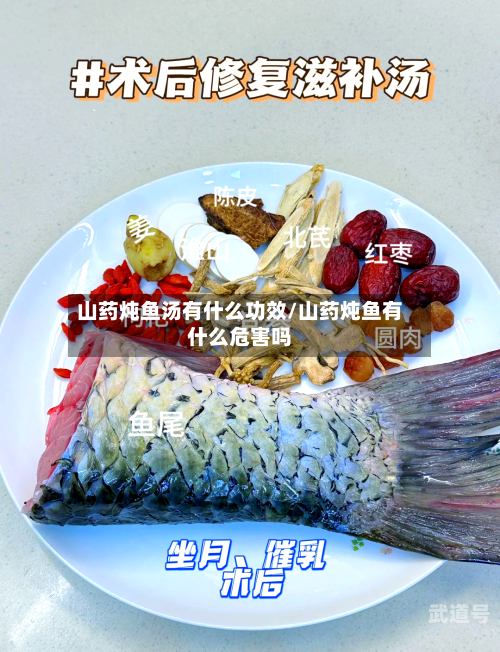 山药炖鱼汤有什么功效/山药炖鱼有什么危害吗