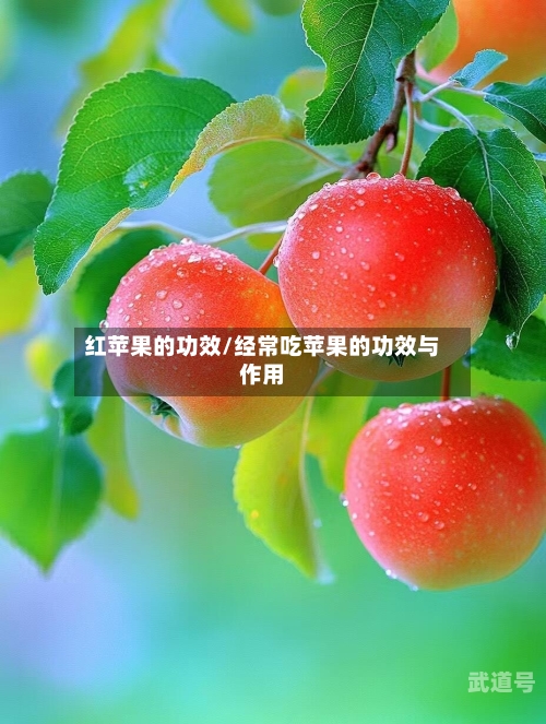 红苹果的功效/经常吃苹果的功效与作用