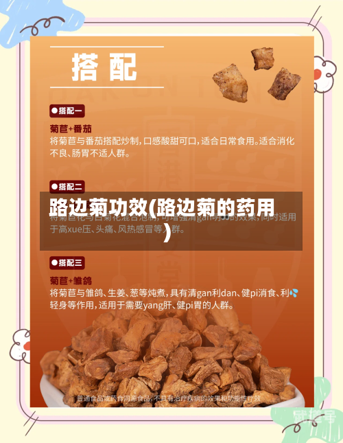 路边菊功效(路边菊的药用)