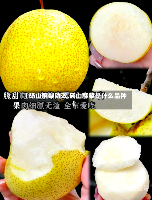 【砀山酥梨功效,砀山酥梨是什么品种】