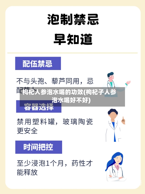 枸杞人参泡水喝的功效(枸杞子人参泡水喝好不好)