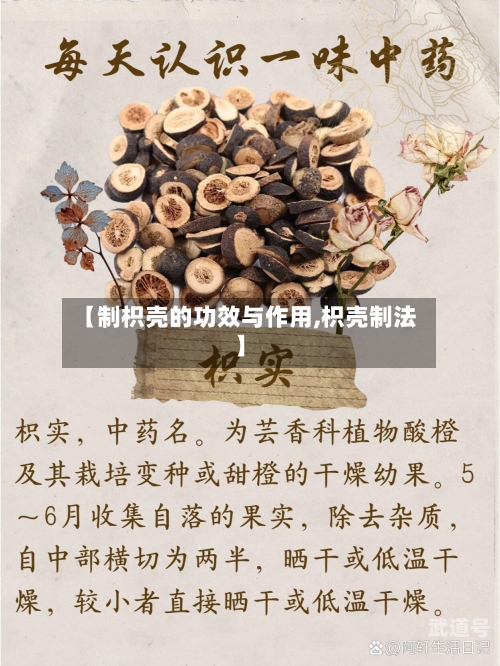 【制枳壳的功效与作用,枳壳制法】