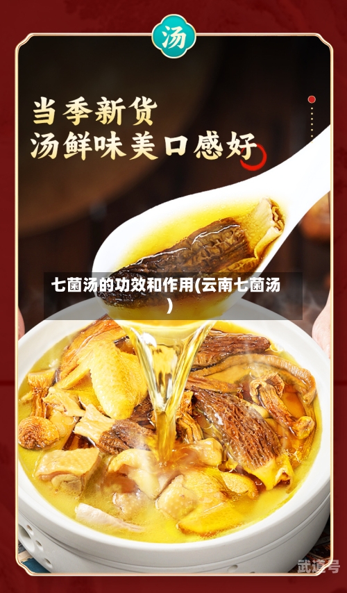七菌汤的功效和作用(云南七菌汤)