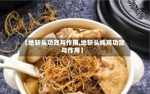 【地斩头功效与作用,地斩头炖鸡功效与作用】