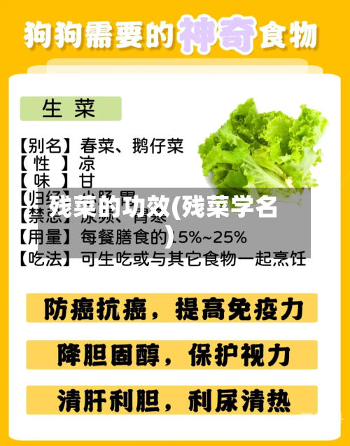 残菜的功效(残菜学名)