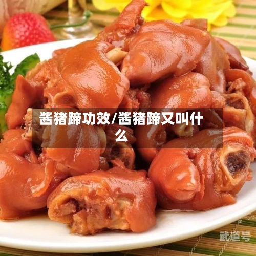 酱猪蹄功效/酱猪蹄又叫什么