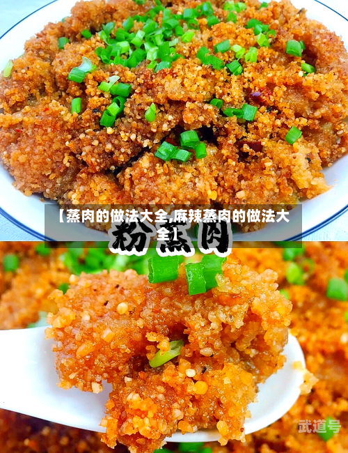 【蒸肉的做法大全,麻辣蒸肉的做法大全】