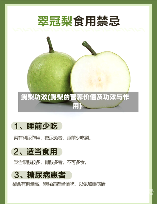 鳄梨功效(鳄梨的营养价值及功效与作用)