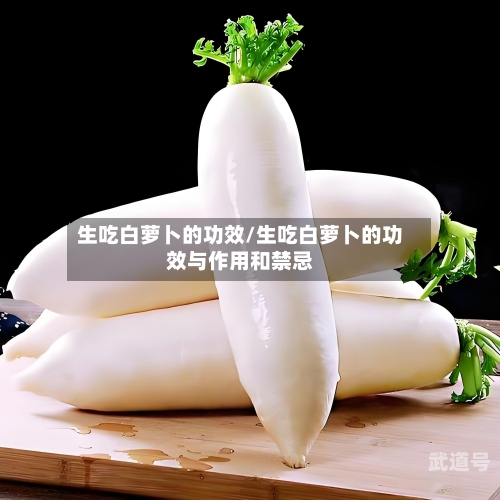 生吃白萝卜的功效/生吃白萝卜的功效与作用和禁忌
