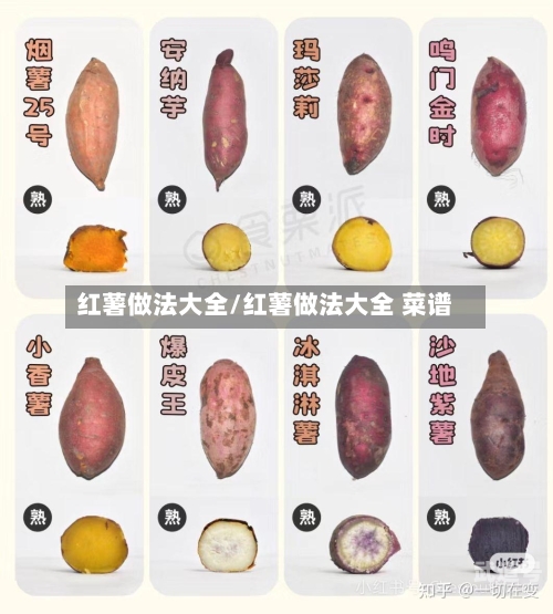 红薯做法大全/红薯做法大全 菜谱