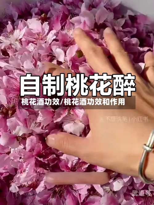 桃花酒功效/桃花酒功效和作用