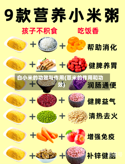 白小米的功效与作用(薏米的作用和功效)