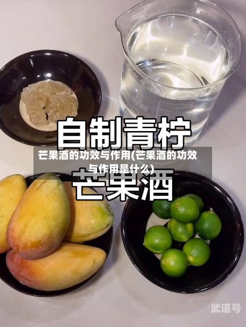 芒果酒的功效与作用(芒果酒的功效与作用是什么)