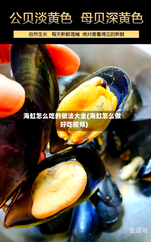 海虹怎么吃的做法大全(海虹怎么做好吃视频)
