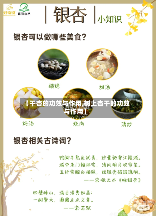 【干杏的功效与作用,树上杏干的功效与作用】
