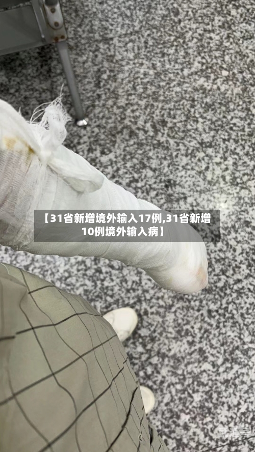【31省新增境外输入17例,31省新增10例境外输入病】