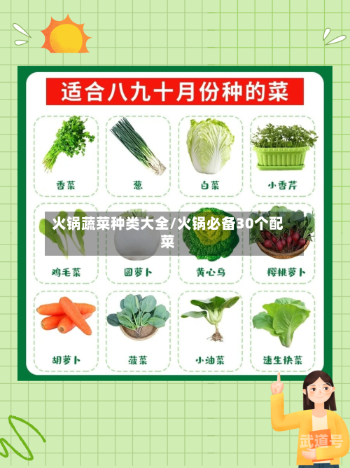 火锅蔬菜种类大全/火锅必备30个配菜