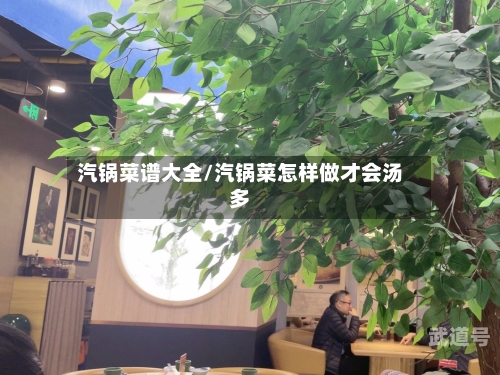 汽锅菜谱大全/汽锅菜怎样做才会汤多