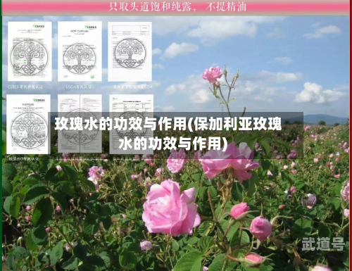 玫瑰水的功效与作用(保加利亚玫瑰水的功效与作用)