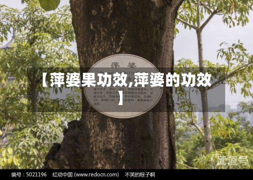 【萍婆果功效,萍婆的功效】