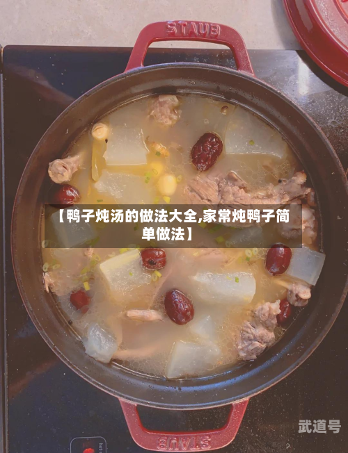 【鸭子炖汤的做法大全,家常炖鸭子简单做法】