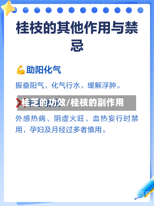 桂芝的功效/桂枝的副作用