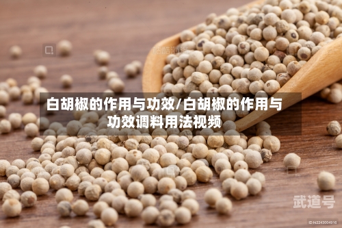 白胡椒的作用与功效/白胡椒的作用与功效调料用法视频