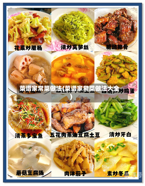 菜谱家常菜做法(菜谱家常菜做法大全)