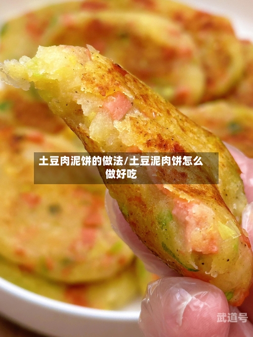 土豆肉泥饼的做法/土豆泥肉饼怎么做好吃