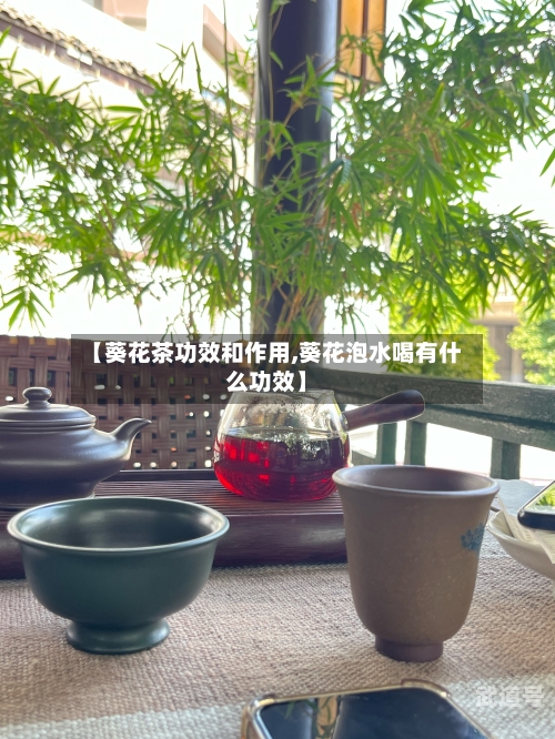 【葵花茶功效和作用,葵花泡水喝有什么功效】