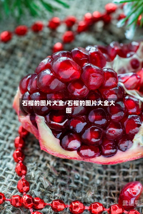 石榴的图片大全/石榴的图片大全大图