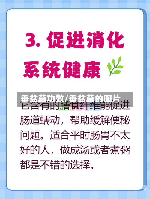 垂盆草功效/垂盆草的图片