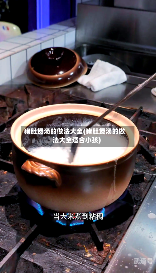 猪肚煲汤的做法大全(猪肚煲汤的做法大全适合小孩)