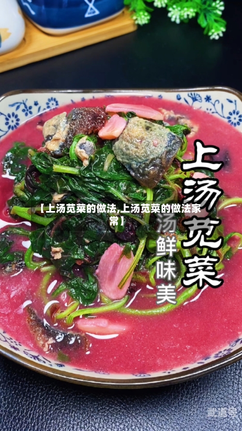 【上汤苋菜的做法,上汤苋菜的做法家常】