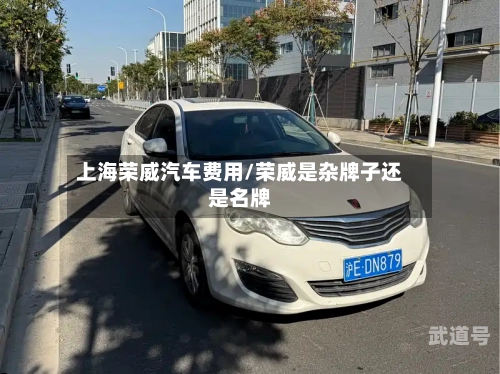 上海荣威汽车费用/荣威是杂牌子还是名牌