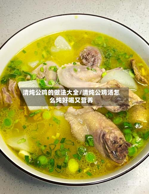 清炖公鸡的做法大全/清炖公鸡汤怎么炖好喝又营养